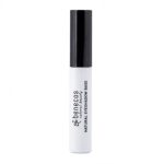 Benecos Natural Eyeshadow-Base Prime Fine 5ml