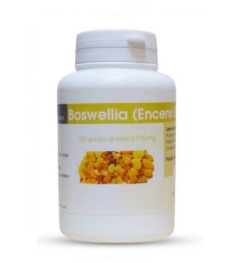 GPH Boswellia Encens Extrait 270mg 100gelules