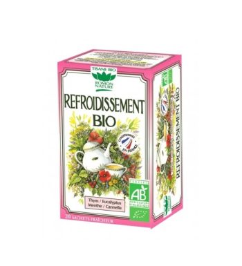 ROMON NATURE INFUSION REFROIDISSEMENT 20 SACHET