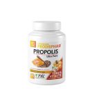 Prodisphar Propolis 60 Gelules